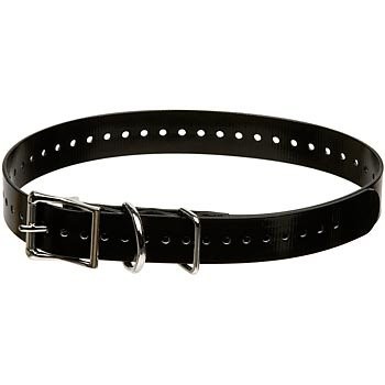 SportDOG Black 1" Collar Strap - SAC00-10812