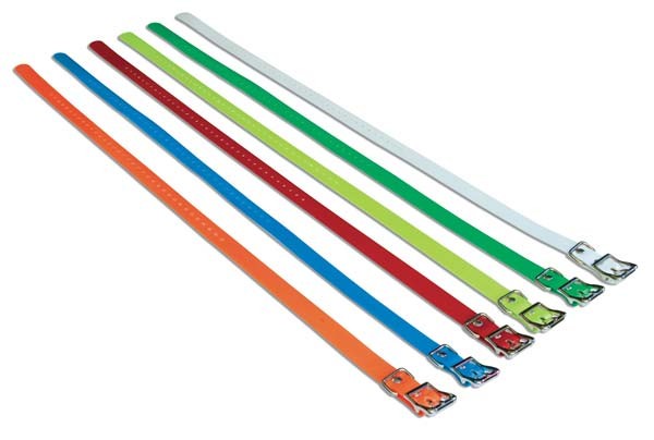 SportDOG Orange 3/4" Collar Strap - SAC00-10815